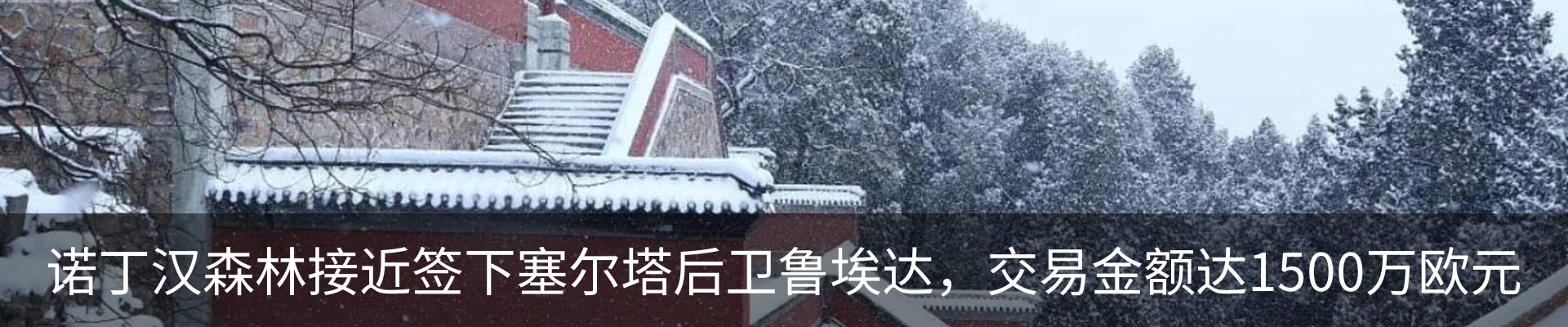 资讯动态